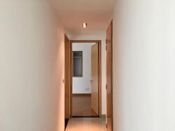 The Light @ Cairnhill (D9), Condominium #413835781